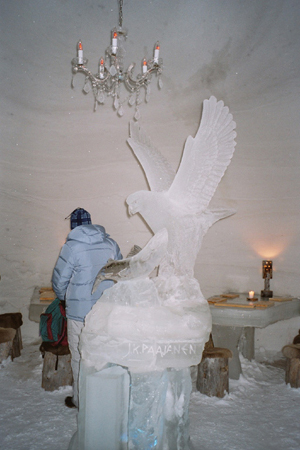 imm004_29A