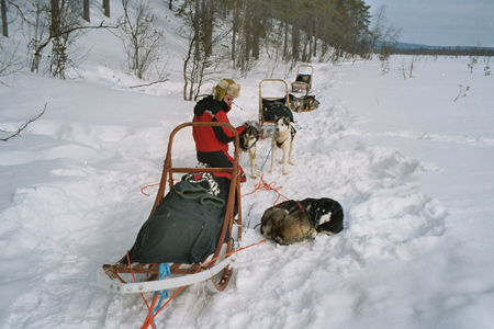 imm012_21A