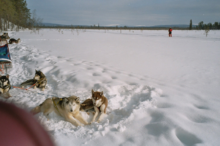 imm017_18A