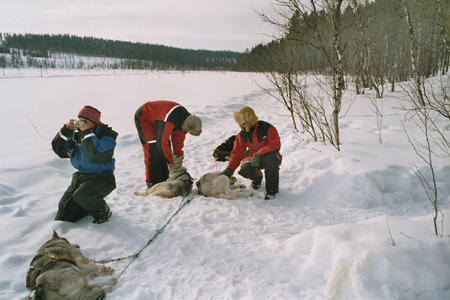 imm019_20A