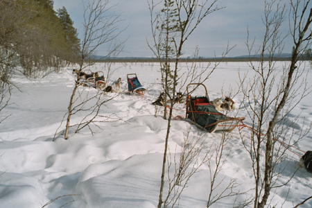 imm022_15A