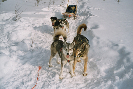 imm025_10A