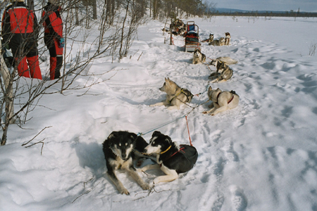 imm026_11A
