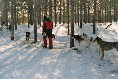 imm029_6A