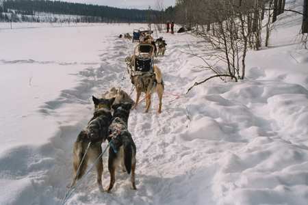 imm031_8A