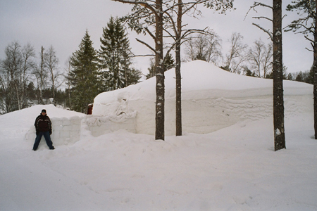 imm041_29A-0