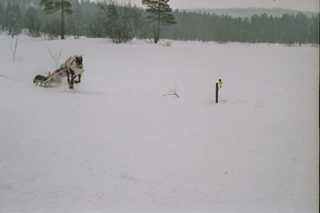 imm064_12A-0