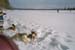 imm017_18A