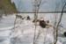 imm022_15A