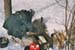 imm023_16A