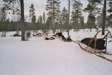 imm002_2A