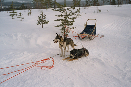 imm004_4A