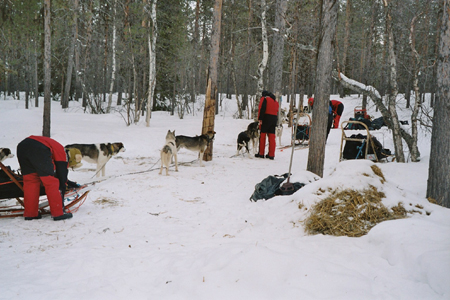 imm007_7A
