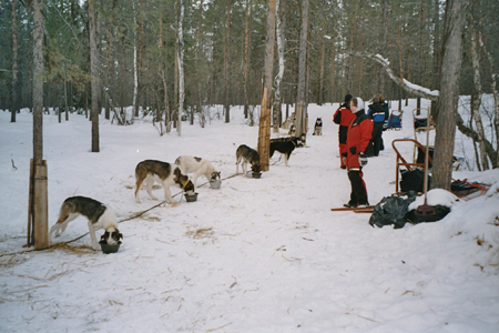 imm010_10A