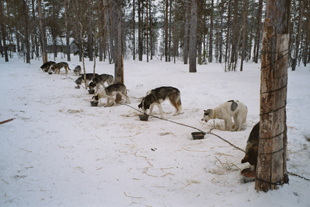 imm011_11A