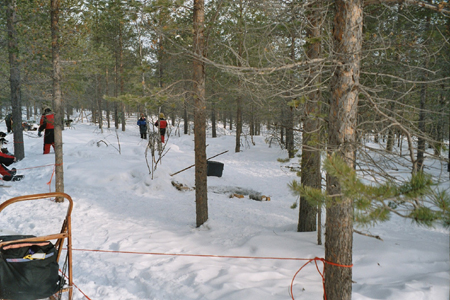 imm012_12A