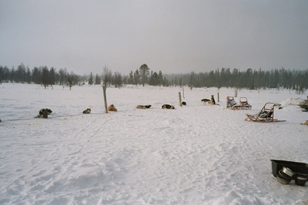 imm017_18A