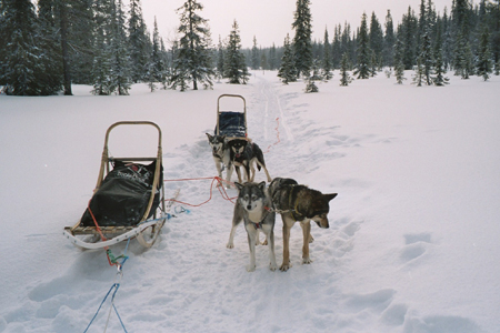 imm023_24A
