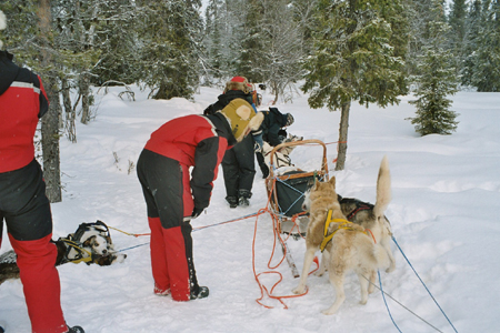 imm024_25A