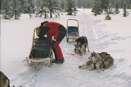 imm026_27A