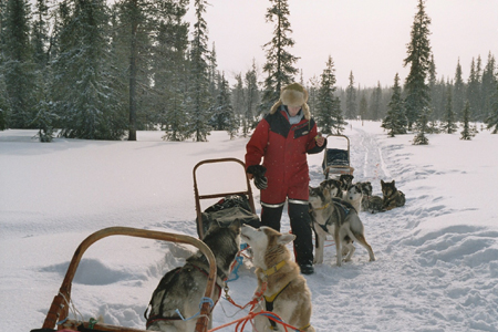 imm028_29A