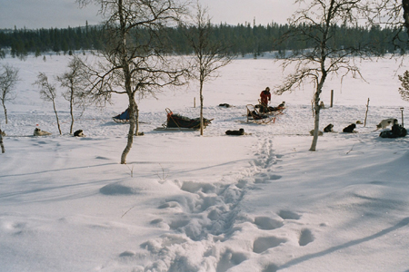 imm032_33A