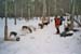 imm010_10A