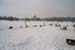 imm017_18A