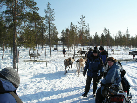 KIF_1288