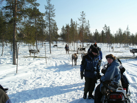 KIF_1291