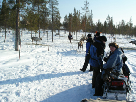 KIF_1294