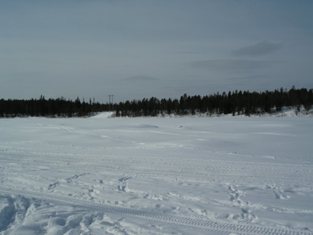 KIF_1295
