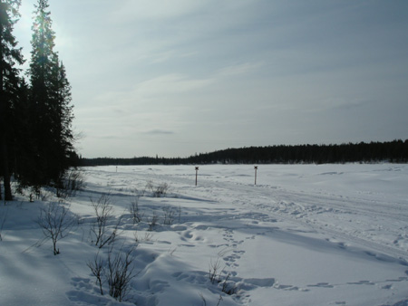 KIF_1302